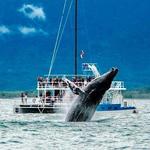Catamaran Tour