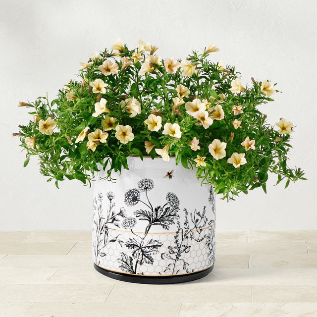 Honeycomb Ceramic Planter, Medium
