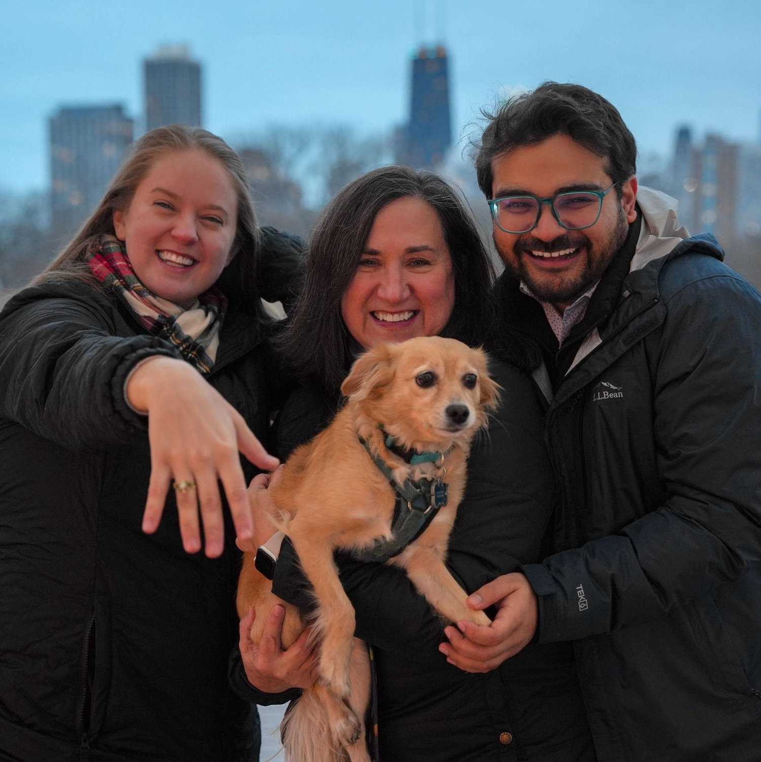 Engagement at the Honeycomb in Lincoln park