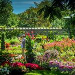 Bellevue Botanical Garden