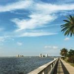 Bayshore Boulevard