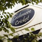 Cashmere Cricket