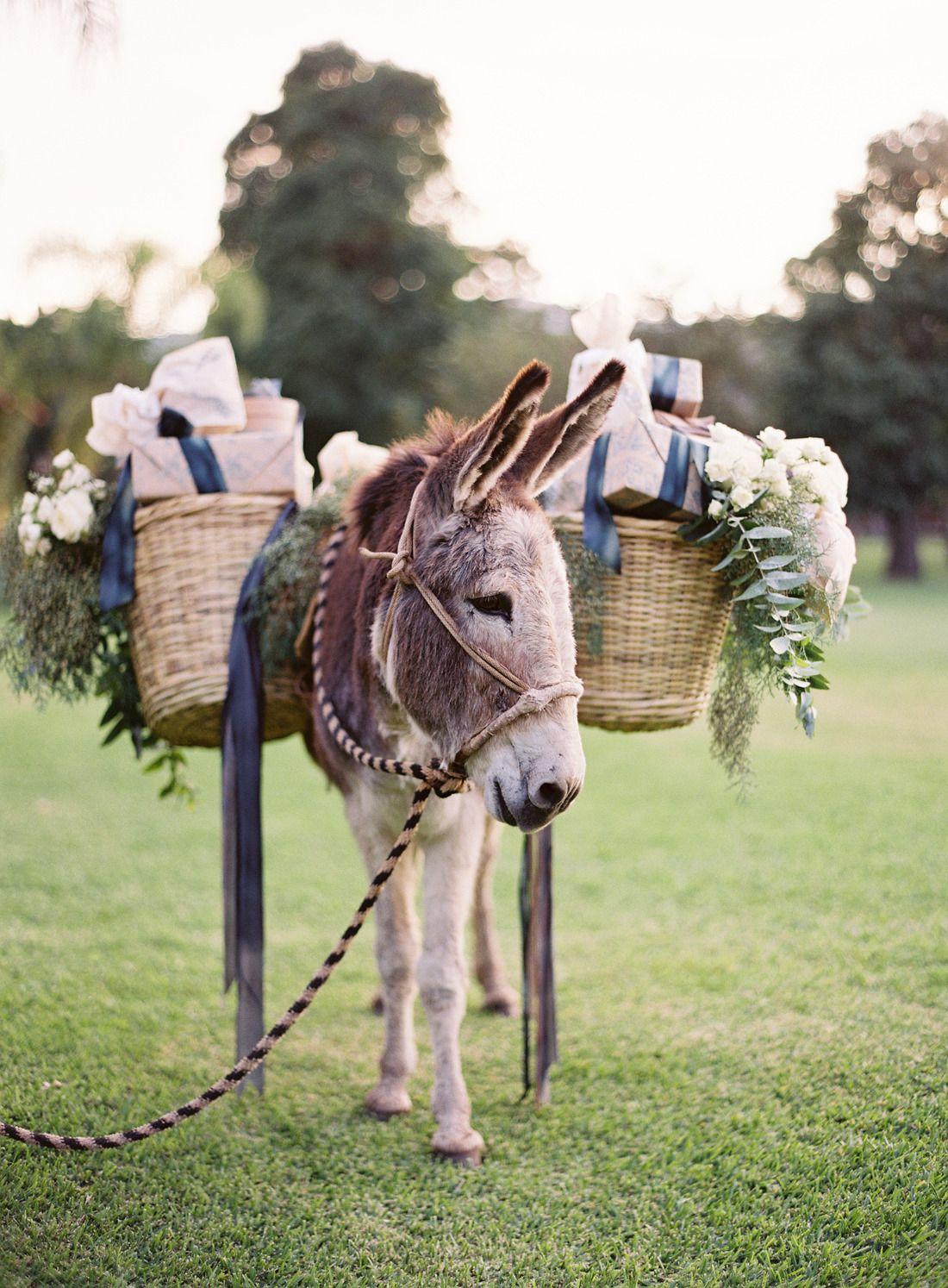 The Wedding Website of moses thambuswamy and fernanda hernandez