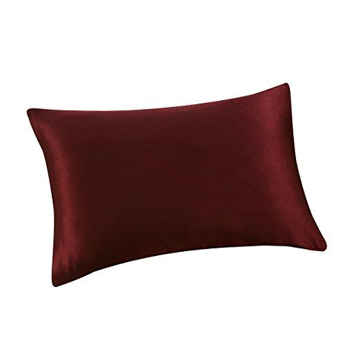 ALASKA BEAR - Natural Silk Pillowcase, Hypoallergenic, 19 Momme, 600 Thread Count 100 Percent Mulberry Silk, Standard Size with Hidden Zipper(1, Burgundy red)
