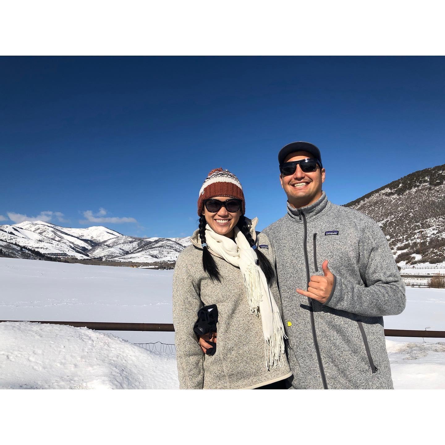 Looking for Moose in Utah