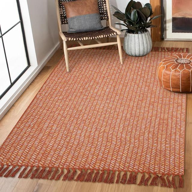 Lahome Boho Kitchen Rug, 3x5 Rugs for Bedroom Lightweight Bathroom Area Rug Woven Indoor Door Mats for Entryway with Tassels, Farmhouse Throw Rug Non-Shedding Floor Carpet for Office Dorm