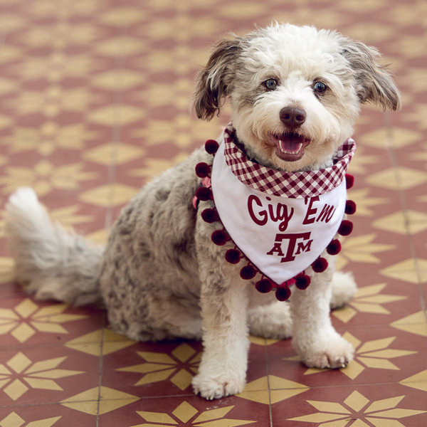 Our Pet Toy Fund
