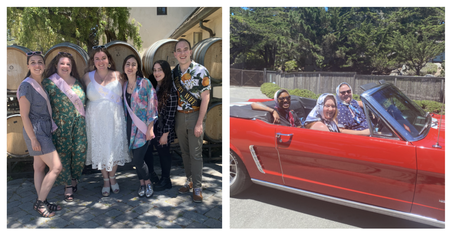 The Wedding Website of Shannon Carroll and Amanda Claire