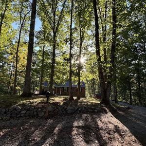 Outdoor/Yard Maintenance