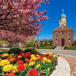 University of Dayton