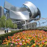Millennium Park/Cloud Gate