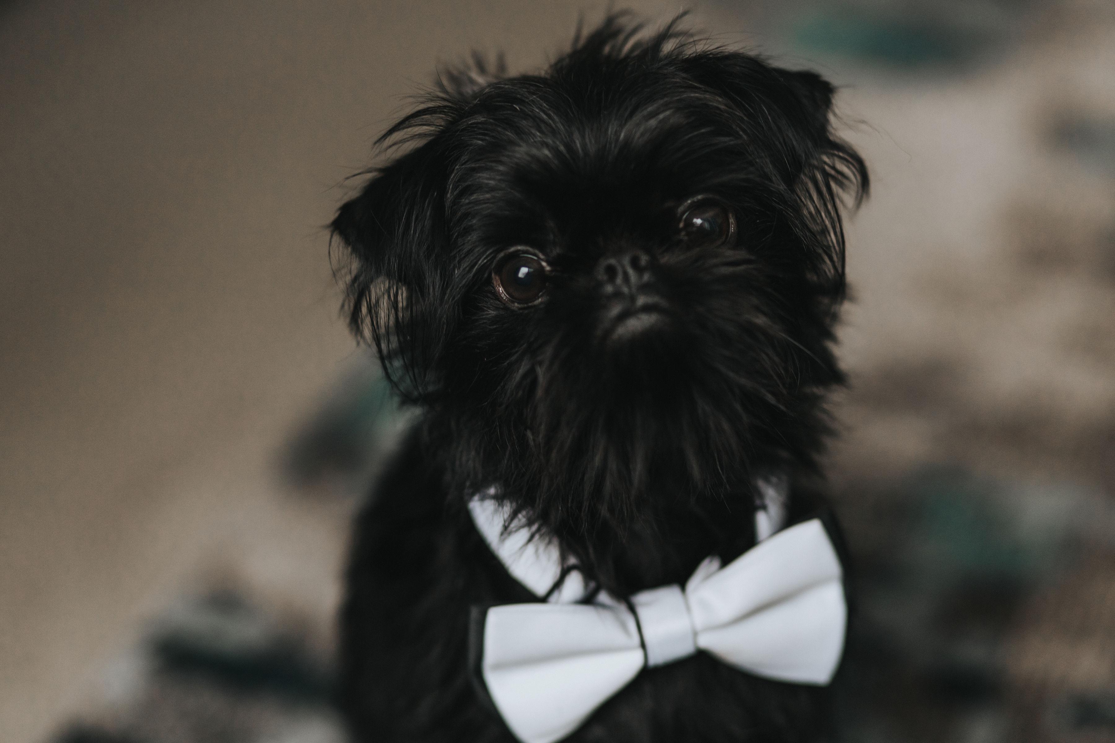 The Wedding Website of Lara Goldstein and Terence Stone