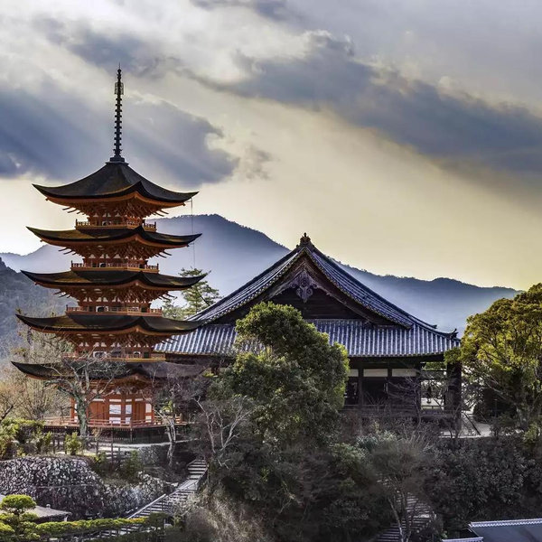 Our Japan Fund!