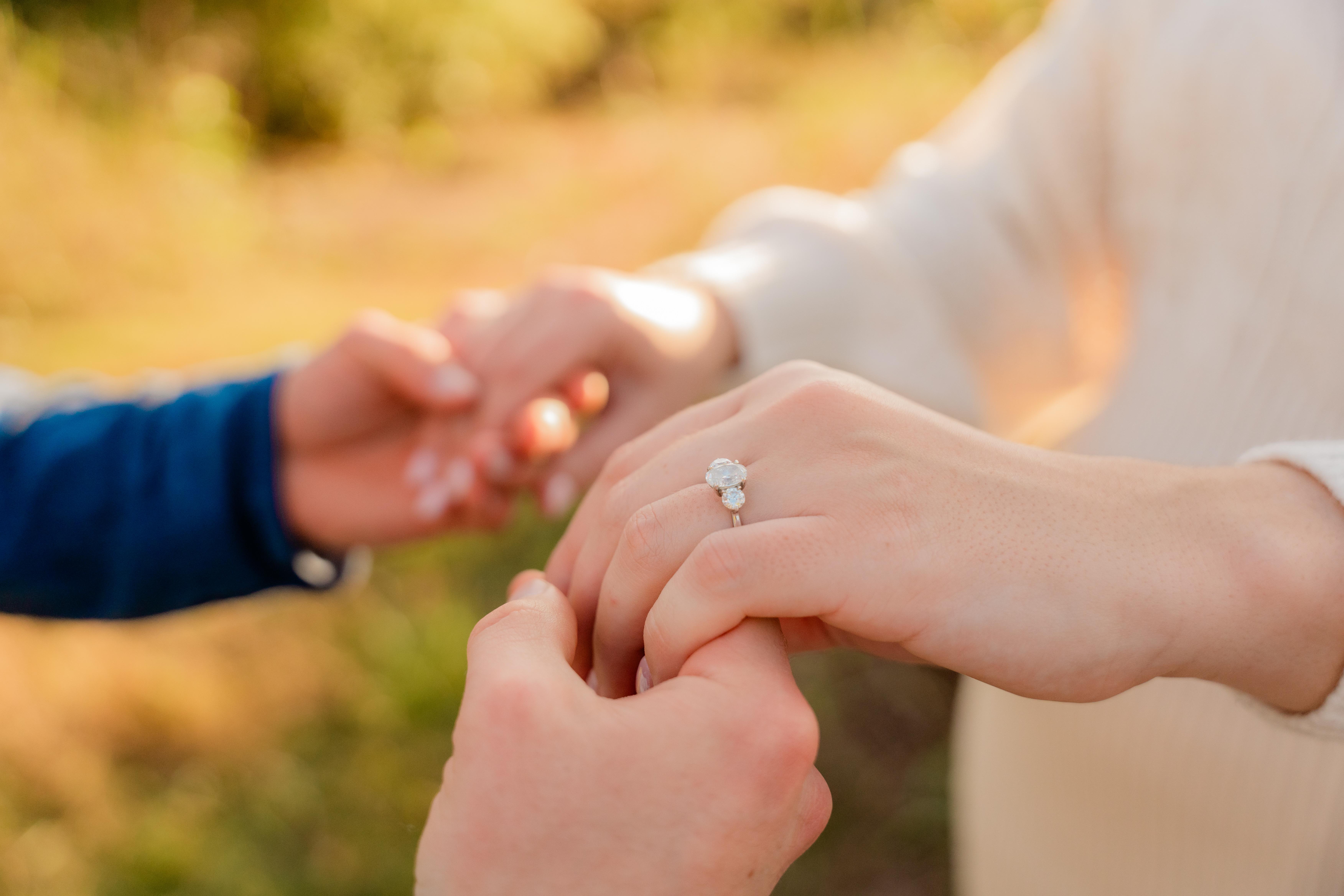 The Wedding Website of Michael Andrew Evanoff and Lindsey Rose Treacy