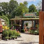 Groovy Plants Ranch