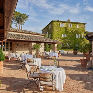 Dinner + Wine Pairing in Tuscany