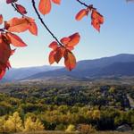 October in Montana