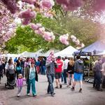 Monroe County Lilac Festival