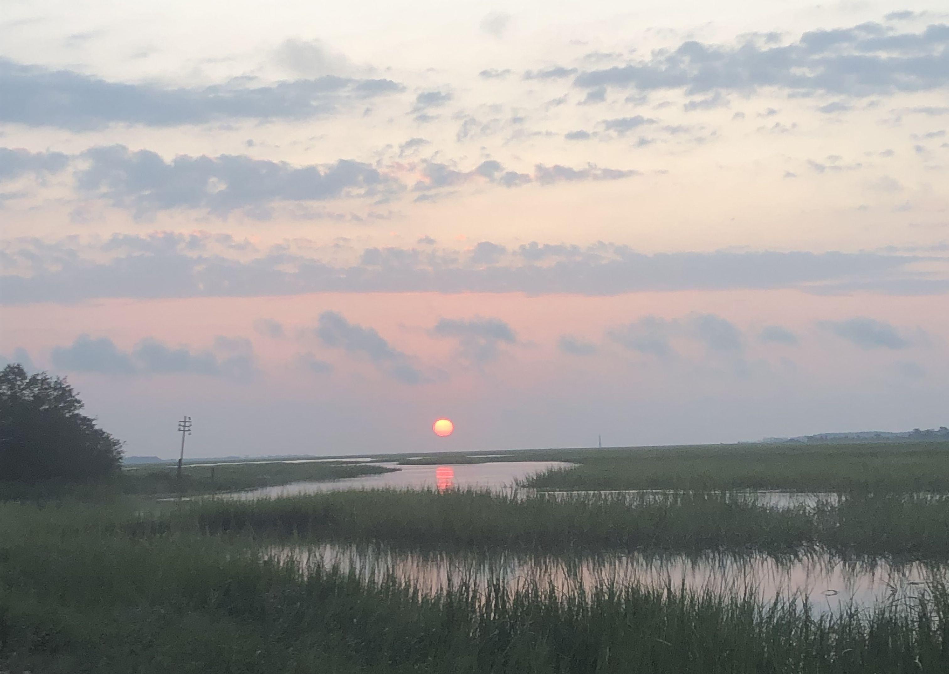 The Wedding Website of Marie Fogle and Blake Adkins