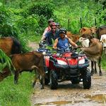 ATV Tours of the Island