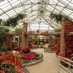 Krohn Conservatory