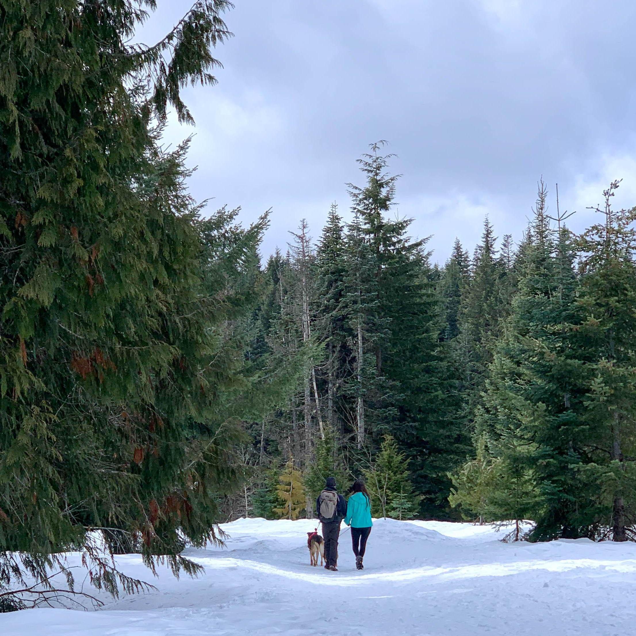 On a hike in Washington