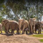 San Diego Zoo
