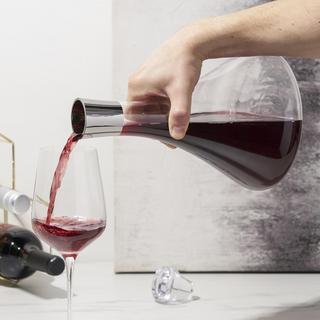 Irving Chrome-Rim Wine Decanter