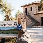 Lefkaditiki Gi Winery