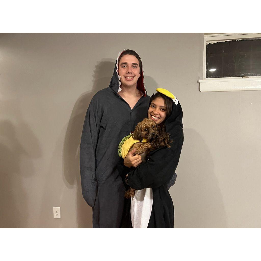 Celebrating halloween with one of our dogs, Copper!