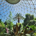 Mitchell Park Domes Horticulture Conservatory