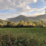 Hickory Nut Gap Farm