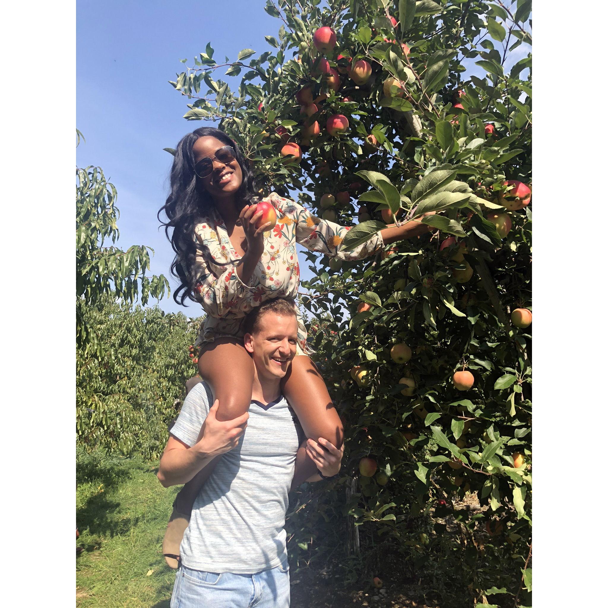 Apple Picking in New Jersey 2019