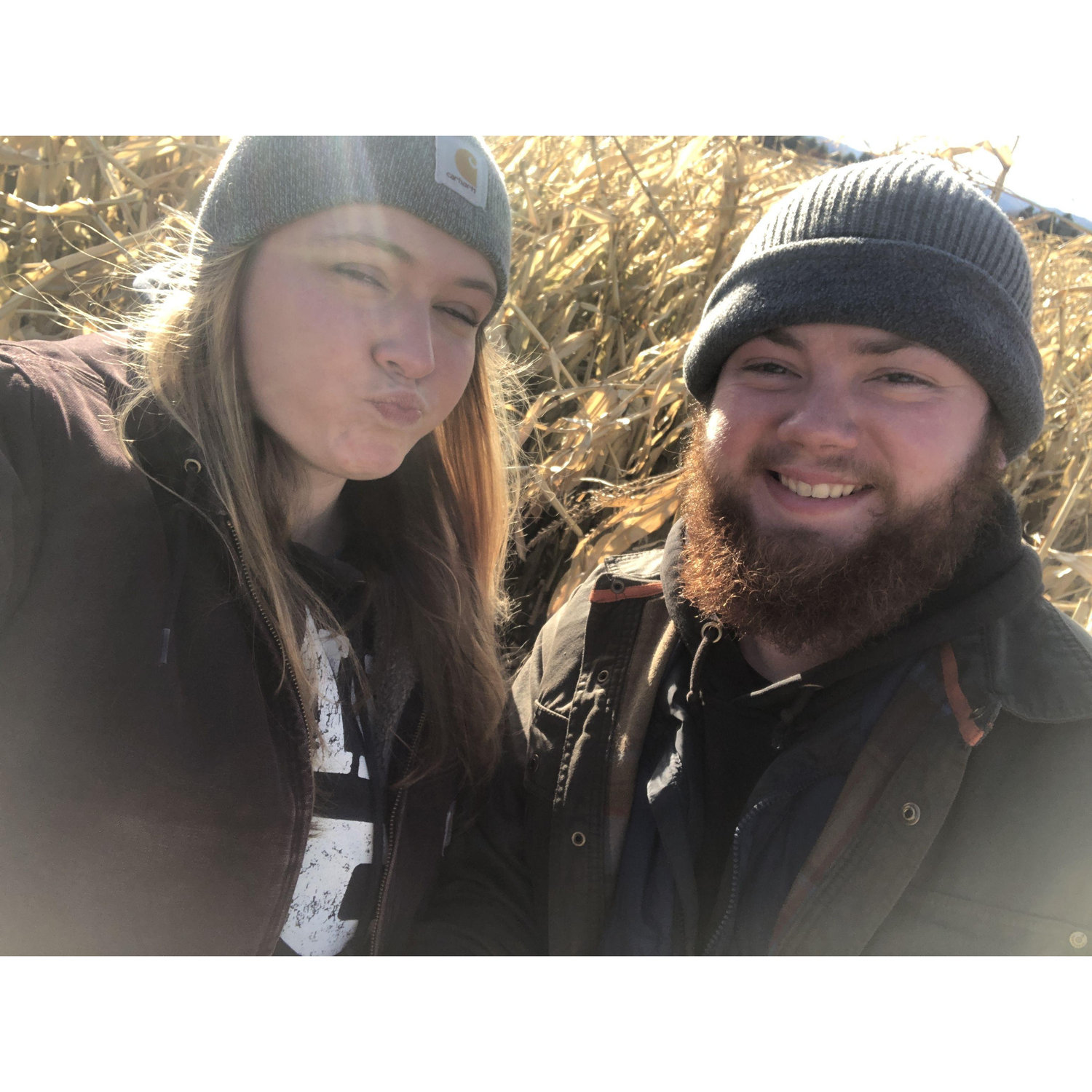 Corn Maze Shenanigans