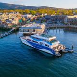 Bar Harbor Whale Watch Co