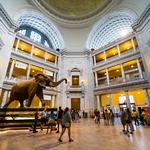 Smithsonian Institution Museums