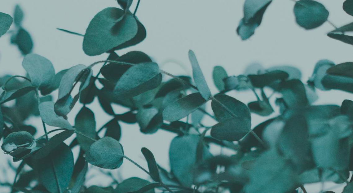 Footer image