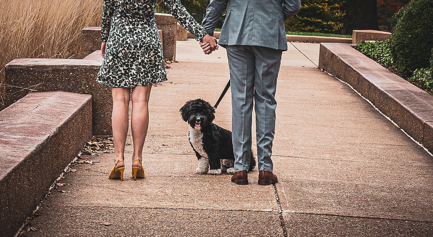 The Wedding Website of Sophia Duncan and Matthew Wilson