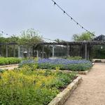 Lady Bird Johnson Wildflower Center