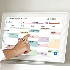 The Skylight Calendar 2 (Classic/Sage) | Skylight
