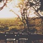 Driftwood Estate Winery
