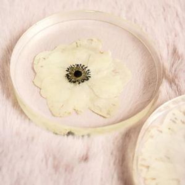 Preserved Wedding Bouquet Coasters