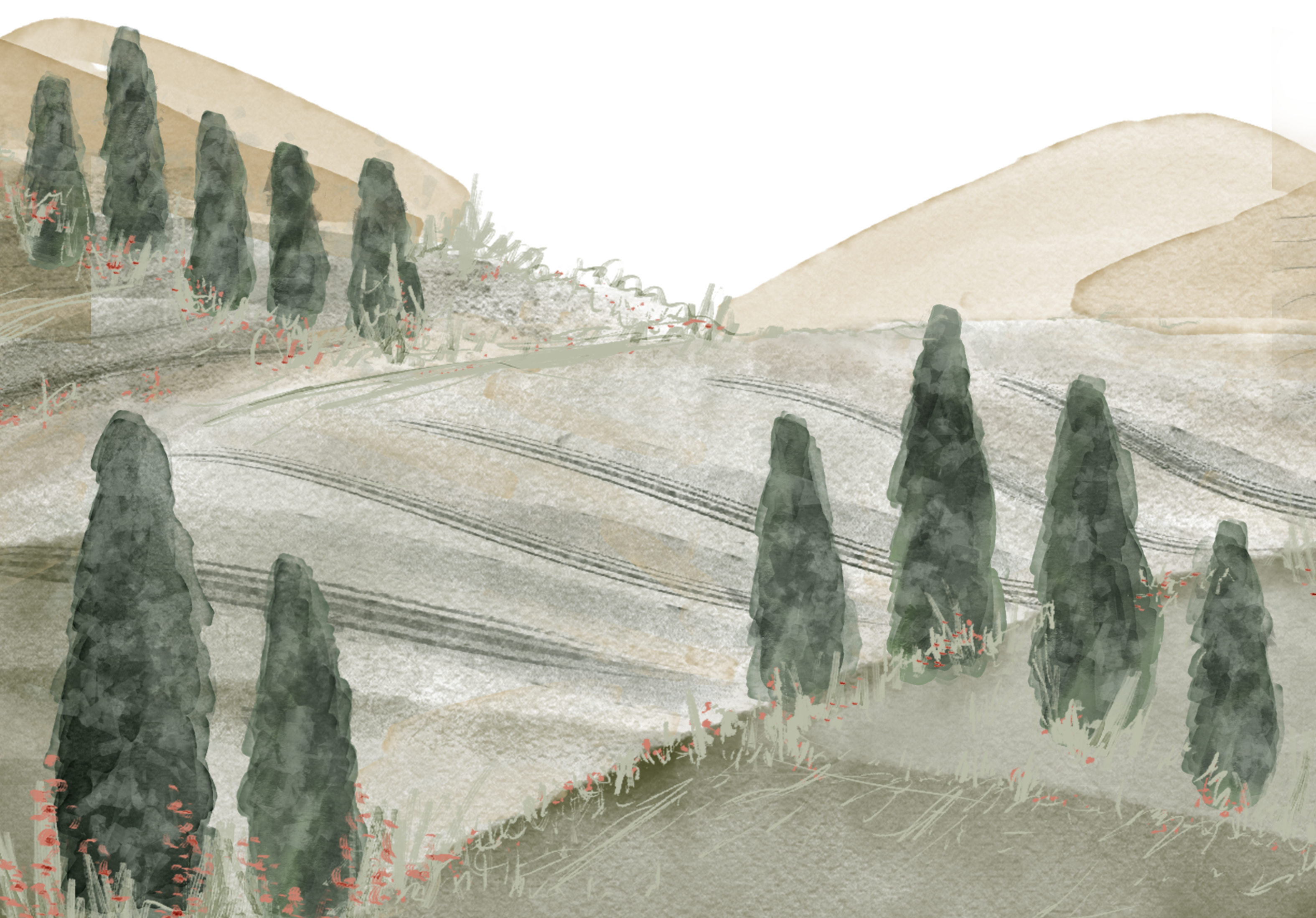 vineyard