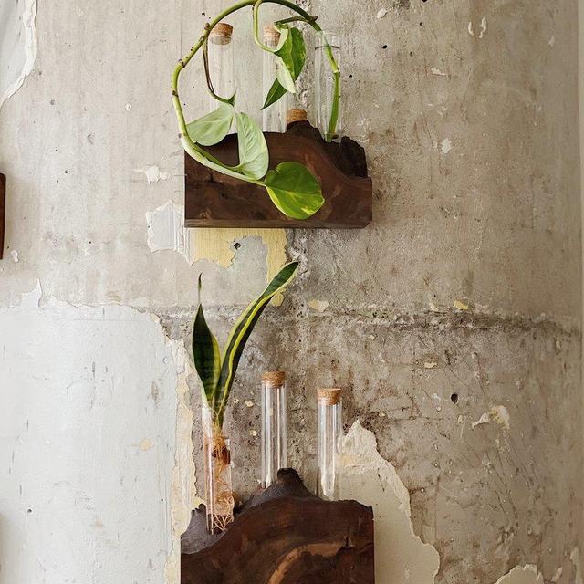 Propagation Stations