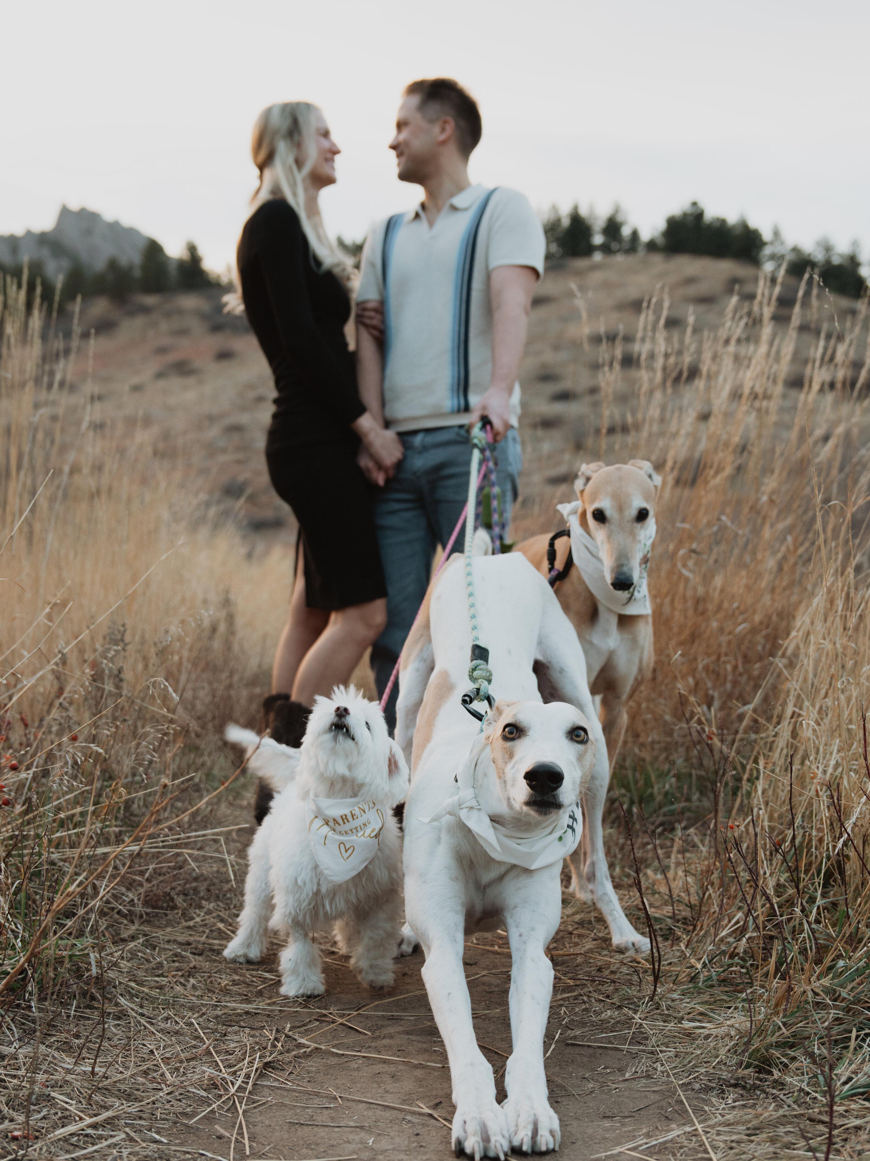 The Wedding Website of Rachel Braun and Adam Schwertner