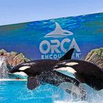 SeaWorld