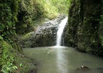 Hike to Maunawili Falls