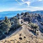 Mt. Baldy Hike