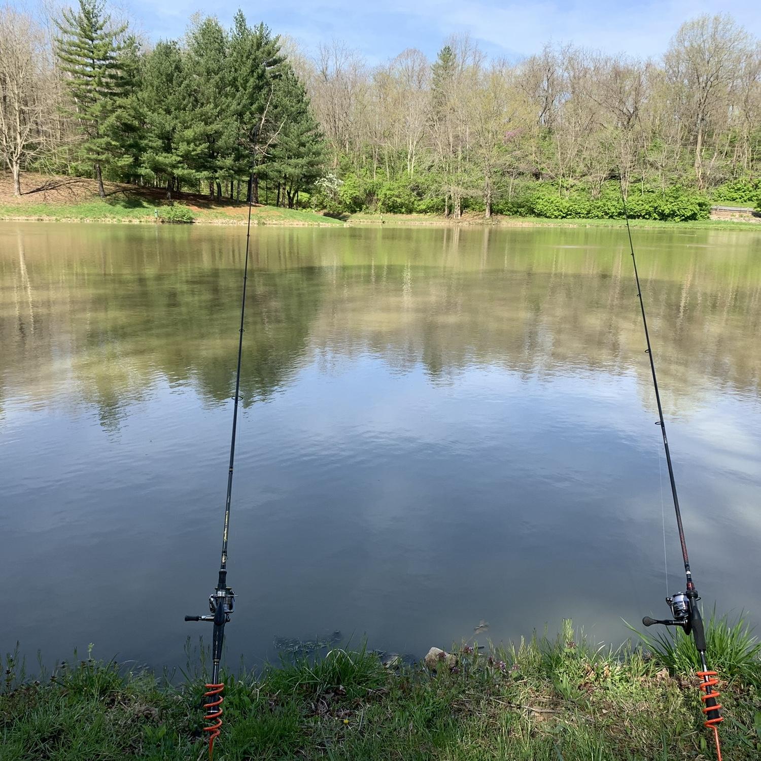First time Nick took me fishing. Date #3
Dog and Game April 23, 2022.