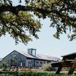 Treaty Oak Distilling